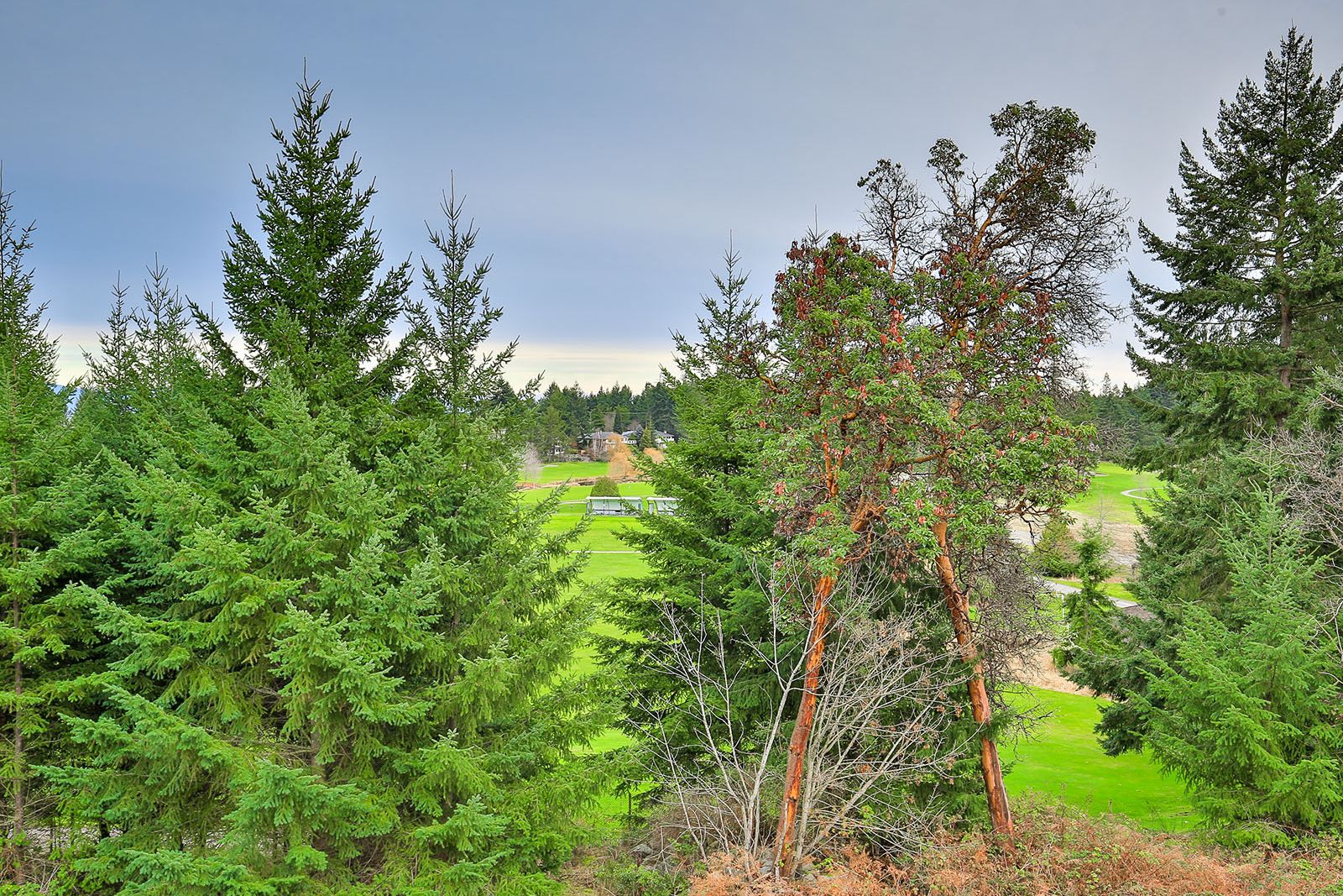 A house exterior for 3579 Collingwood Drive